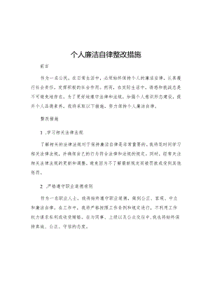 个人廉洁自律整改措施.docx