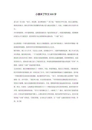 小康来了作文600字.docx