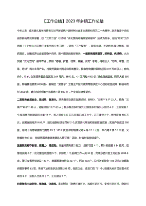 【工作总结】2023年乡镇工作总结.docx