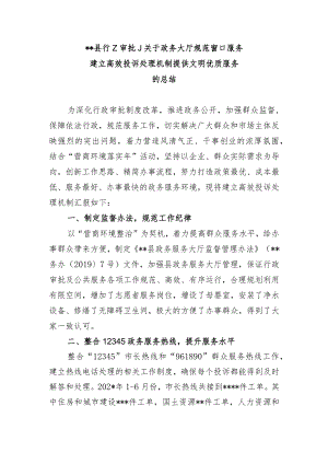 关于政务大厅规范窗口服务建立高效投诉处理机制提供文明优质服务的总结.docx