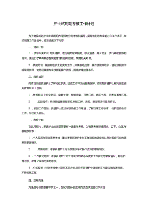 护士试用期考核工作计划.docx