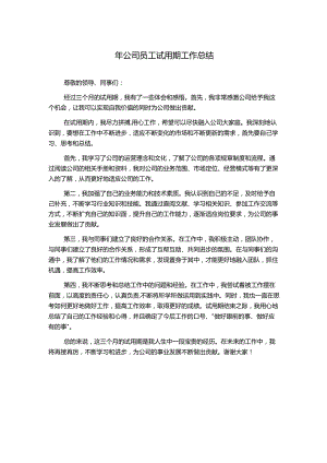 年公司员工试用期工作总结.docx