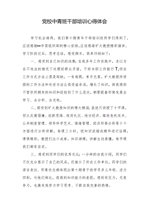 党校中青班干部培训心得体会1.docx