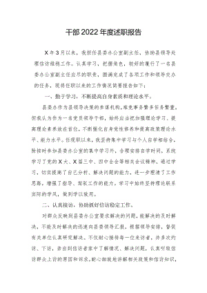 干部2022年度述职报告.docx