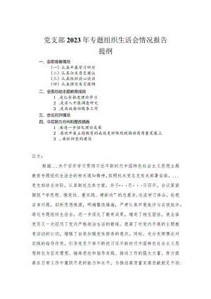 党支部2023年专题组织生活会情况报告.docx