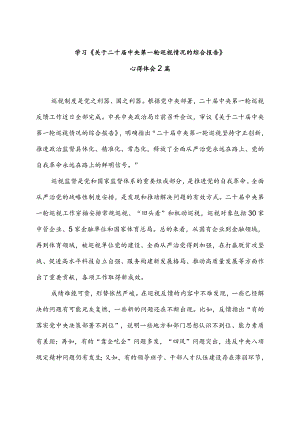 学习《关于二十届中央第一轮巡视情况的综合报告》心得体会2篇.docx