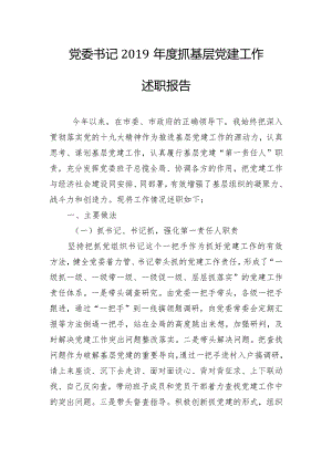 党委书记2019年度抓基层党建工作述职报告.docx