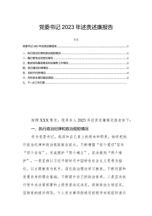 党委书记2023年述责述廉报告.docx