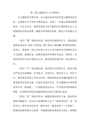 大学生学习《第二批主题教育》个人心得体会.docx