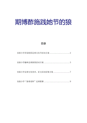 实验小学首届校园足球文化节活动方案.docx