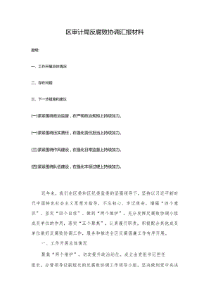 区审计局反腐败协调汇报材料.docx