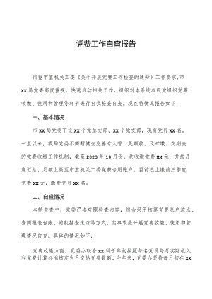 党费工作自查报告.docx