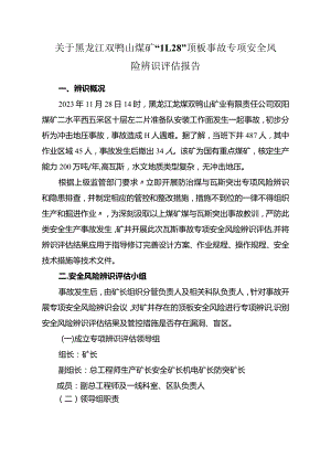 关于黑龙江双鸭山煤矿“11.28”顶板事故专项安全风险辨识评估报告.docx