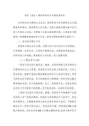 县区（园区）镇街领导班子对照检查材料.docx