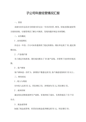 子公司年度经营情况汇报.docx