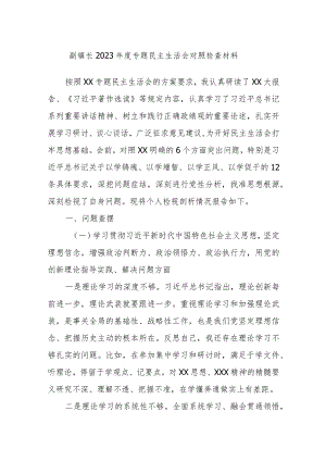 副镇长2023年度专题民主生活会对照检查材料.docx