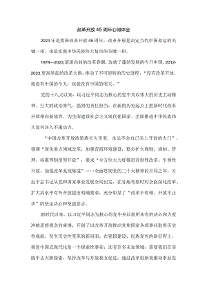 庆祝改革开放45周年心得体会二.docx