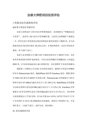 加拿大钾肥项目投资评估分析.docx