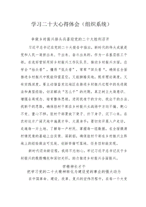 学习二十大心得体会（组织系统）.docx