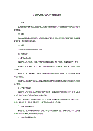 护理人员分级培训管理制度.docx