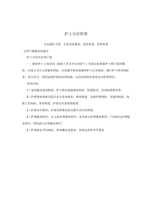 护士分层管理.docx