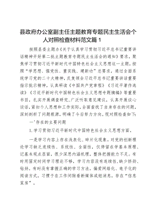 县政府办公室副主任主题教育专题民主生活会个人对照检查材料范文2篇.docx