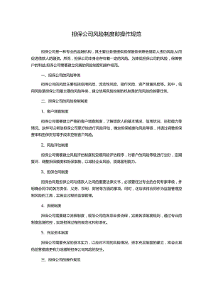 担保公司风险制度即操作规范.docx