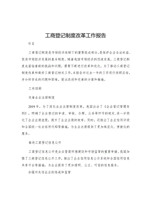 工商登记制度改革工作报告.docx