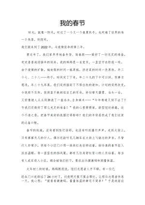 我的春节征文.docx