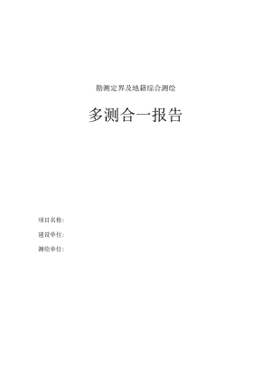 勘测定界及地籍综合测绘多测合一报告.docx