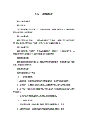 担保公司内审制度.docx