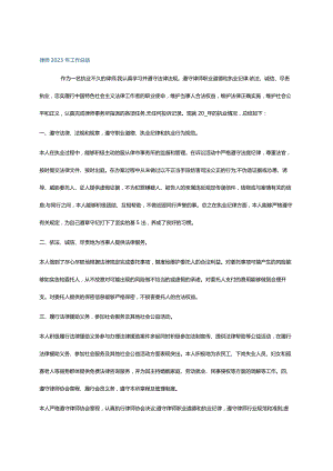 律师2023年工作总结.docx