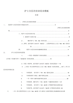 护士分层次培训范本模板.docx