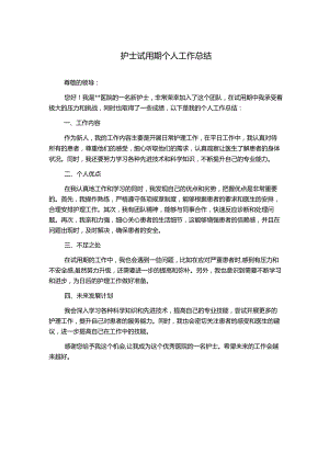 护士试用期个人工作总结.docx