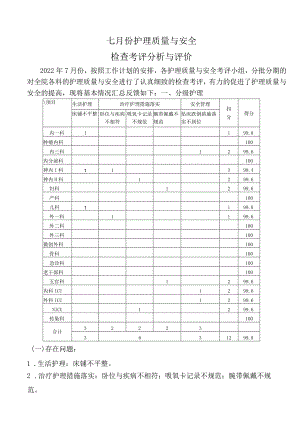 护理质量与安全检查考评分析与评价.docx