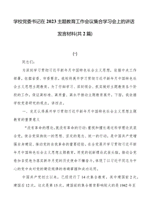 学校党委书记在2023主题教育工作会议集中学习会上的讲话发言材料（共2篇）.docx