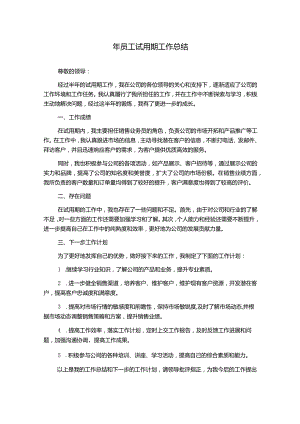 年员工试用期工作总结.docx