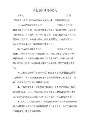 承包项目承诺书范文.docx