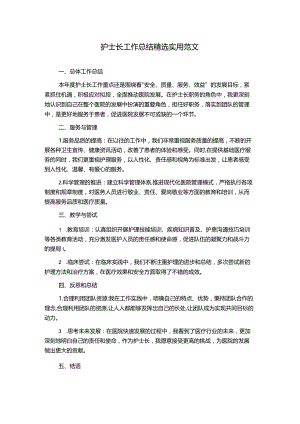 护士长工作总结精选实用范文.docx