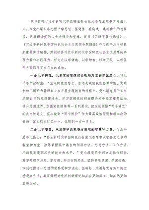 在第二批主题教育读书班党小组研讨会上的发言范文两篇.docx