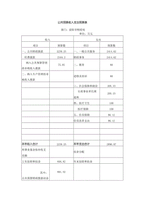 公共预算收入支出预算表.docx
