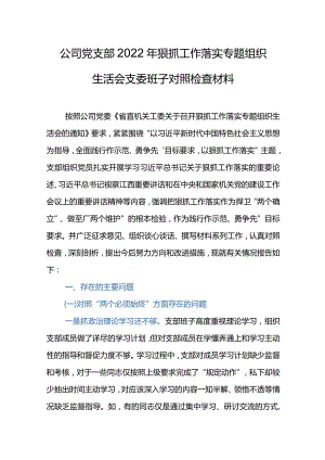 公司党支部2022年狠抓工作落实专题组织生会支委班子对照材料.docx