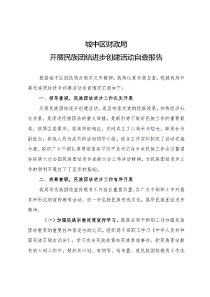 关于开展民族团结进步创建活动自查报告.docx