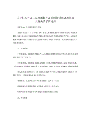 关于对桥梁灌注桩桩头钢筋锈蚀处理有关要求的通知.docx