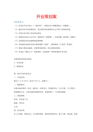 开业策划案完整版.docx