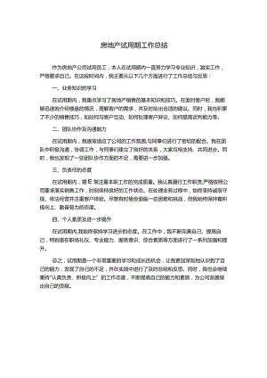 房地产试用期工作总结.docx