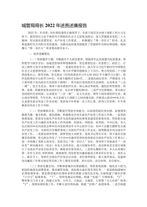 城管局局长2022年述责述廉报告.docx