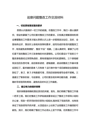 巡察问题整改工作交流材料.docx