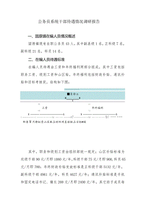 公务员系统干部待遇情况调研报告.docx