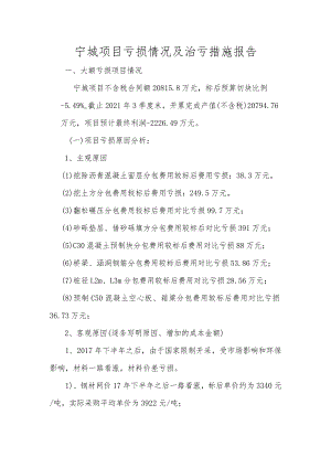 宁城项目亏损情况及治亏工作报告.docx